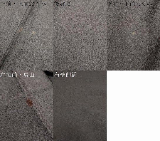 平和屋着物●色留訪問着 草花文 金彩 正絹 逸品 未使用 DAAY5836ud