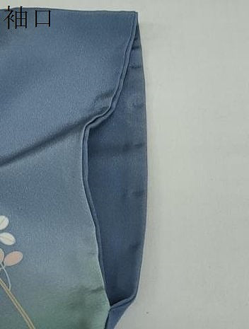 平和屋着物●訪問着　友禅　作家物　枝花文　暈し染め　ロング丈　正絹　逸品　DAAY5968ud