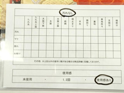 平和屋着物◎六通柄袋帯　唐織　亀甲花文　金銀糸　正絹　逸品　DAAY6117ea