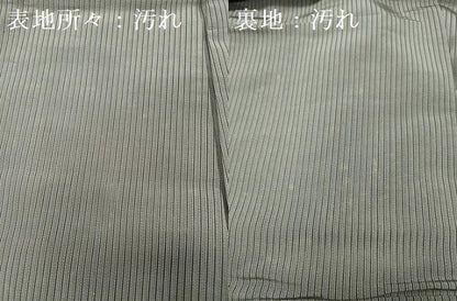 平和屋着物＊夏物 男性 行灯袴 縞 正絹 逸品 DAAY6246ea