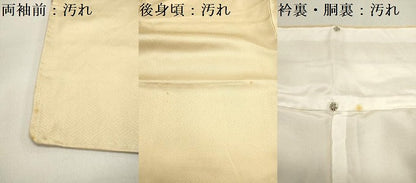 平和屋着物■色留訪問着　地紋起こし　流水文　暈し染め　正絹　逸品　DAAY6456ea