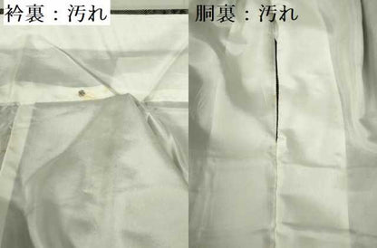 平和屋着物■上質な紬　風景文　正絹　逸品　DAAY6731qp