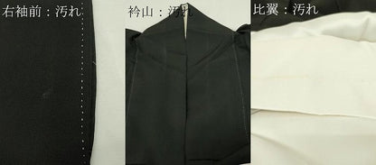 平和屋着物■豪華黒留袖 鳳凰文 松竹梅 金銀彩 正絹 逸品 DAAY7545sf