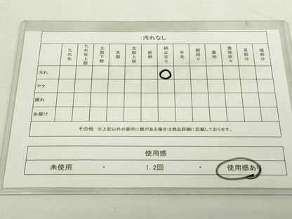 平和屋着物◎両面　六通柄袋帯　数寄屋　金糸　正絹　逸品　DAAY7585sf
