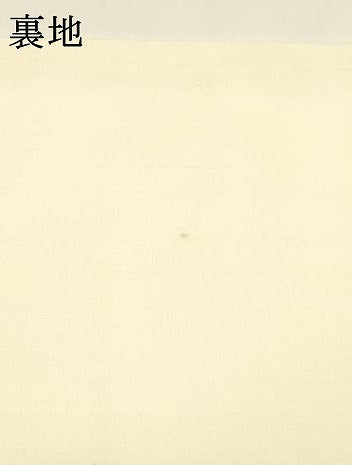 平和屋着物＊夏物 絹芭蕉 九寸名古屋帯 手描き 蜻蛉 トンボ 草花文 正絹 逸品 DAAY8277cm
