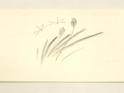 平和屋着物＊夏物 絹芭蕉 九寸名古屋帯 手描き 蜻蛉 トンボ 草花文 正絹 逸品 DAAY8277cm