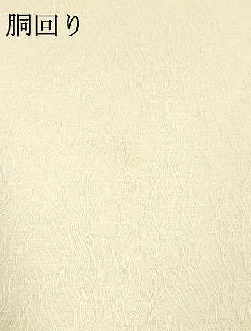 平和屋着物＊夏物 つけ帯 すくい織 蜻蛉 トンボ 草葉文 正絹 逸品 DAAY8322cm