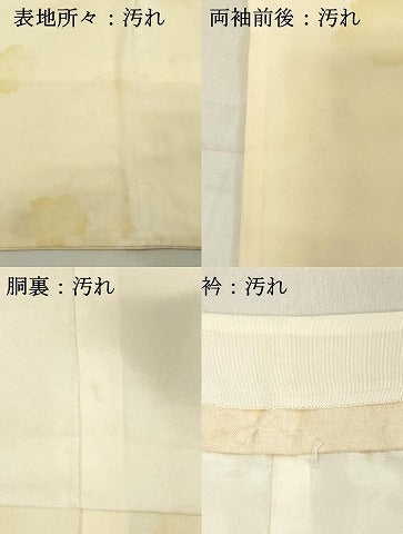 平和屋着物■長襦袢　袷　草花地紋　暈し染め　正絹　逸品　DAAY8860cd