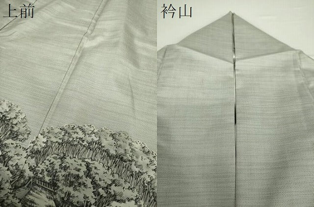 平和屋着物●本場染大島紬　訪問着　作家物　手描き　仁科路　正絹　逸品　DAAZ0716ps