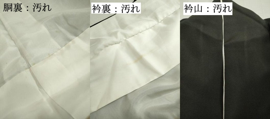 平和屋着物■豪華黒留袖　駒刺繍　枝葉藤花房文　桐　金彩　正絹　逸品　DAAZ1154qa