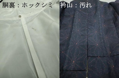 平和屋着物■上質な紬 麻の葉文 正絹 逸品 DAAZ1374qa