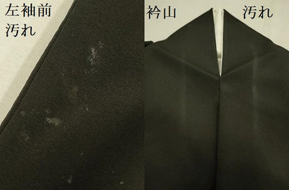平和屋着物■豪華黒留袖 飛鶴松文 金彩 正絹 逸品 DAAZ2121op