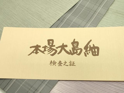 平和屋着物●両面　太鼓柄袋帯　本場大島紬　泥染　草木　雪輪　夢おりの郷　浜田スマ子作　証紙付き　正絹　逸品　未使用　DAAZ2807op