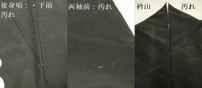 平和屋着物■黒留袖　駒刺繍　飛鶴花松文　金彩　洗える着物　DAAZ2885op
