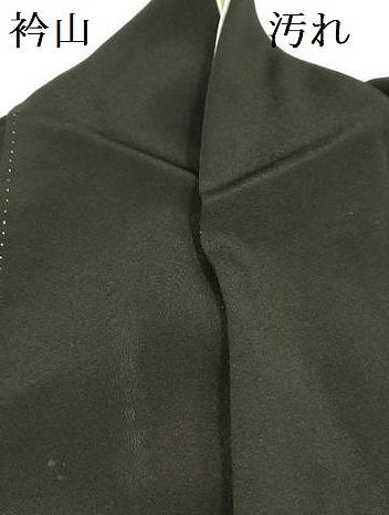 平和屋着物■豪華黒留袖　風景飛鶴花松文　金彩　正絹　逸品　DAAZ2918op