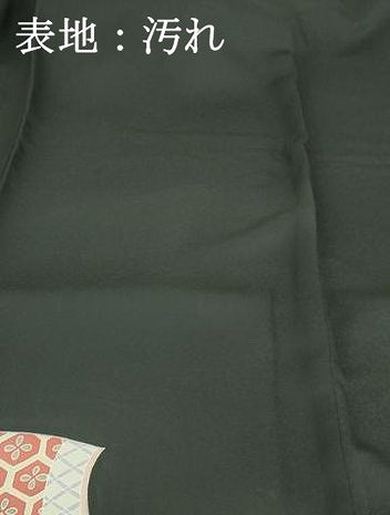 平和屋着物■染色作家 おだに武士 黒留袖 女人文 正絹 逸品 DAAZ3389ob