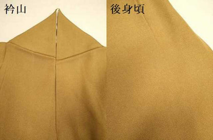 平和屋着物●江戸小紋　草木染　鮫小紋柄　正絹　逸品　DAAZ5238du