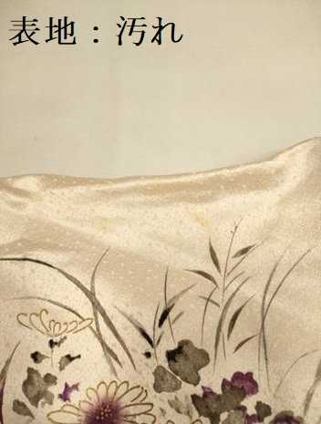 平和屋着物■訪問着　手描き　花蝶文　金彩　正絹　逸品　DAAZ5381du
