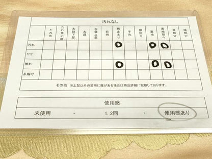平和屋着物◎太鼓柄袋帯 唐織 格天井鳳凰花文 金銀糸 正絹 逸品 DAAZ5742ea