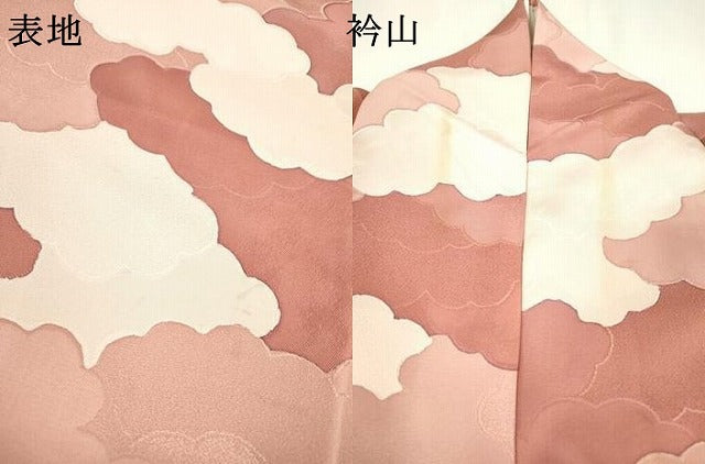 平和屋着物▼上質な小紋　地紋起こし　雲文　正絹　逸品　DAAZ6594fe