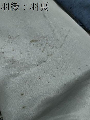 平和屋着物●男性 紬 アンサンブル 長羽織 鉄紺色 正絹 逸品 DAAZ7142ud