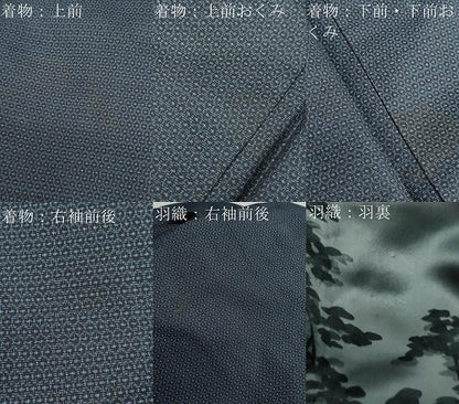 平和屋着物●男性 本場大島紬 アンサンブル 80亀甲 総詰め 正絹 逸品 DAAZ7145ud