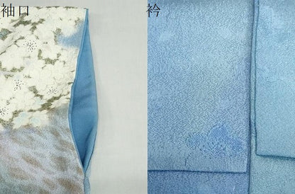 平和屋着物●訪問着　枝桜文　暈し染め　金彩　銀通し地　正絹　逸品　DAAZ7581ud
