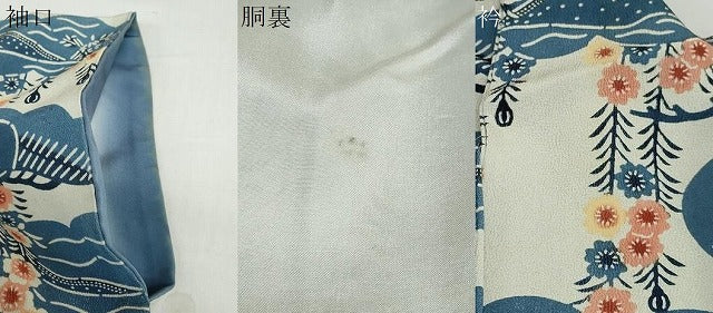平和屋着物●訪問着　型染め　枝垂れ花松文　正絹　逸品　DAAZ7649ud