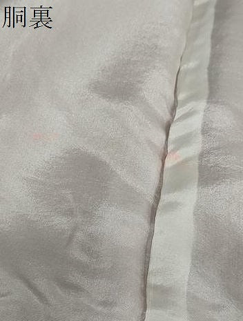 平和屋着物●上質な色無地　紋意匠　銀朱色　正絹　逸品　DAAZ7710ud