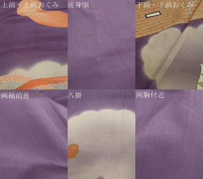 平和屋着物●アンティーク　大正ロマン　色留袖　駒刺繍　楽器草花文　金銀彩　正絹　逸品　DAAZ7941ud