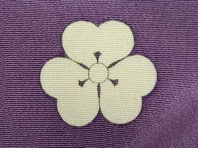 平和屋着物○アンティーク 大正ロマン 色留袖 駒刺繍 楽器草花文 金銀彩