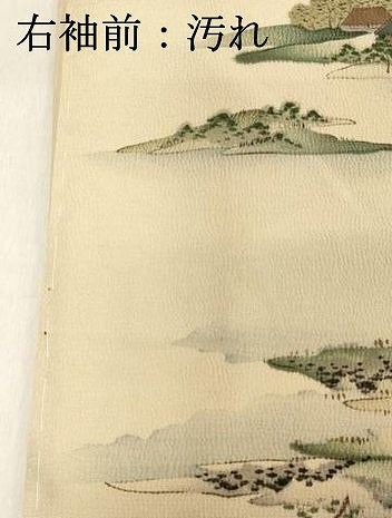 平和屋着物■上質な小紋　風景文　暈し染め　鬼しぼ縮緬　正絹　逸品　DAAZ8364cd
