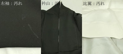 平和屋着物■豪華黒留袖　駒刺繍　枝梅文　金彩　正絹　逸品　DAAZ9790sf