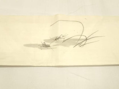 平和屋着物＊夏物 絹芭蕉 九寸名古屋帯 作家物 手描き 夏虫草葉文 正絹 逸品 DABA0047cm