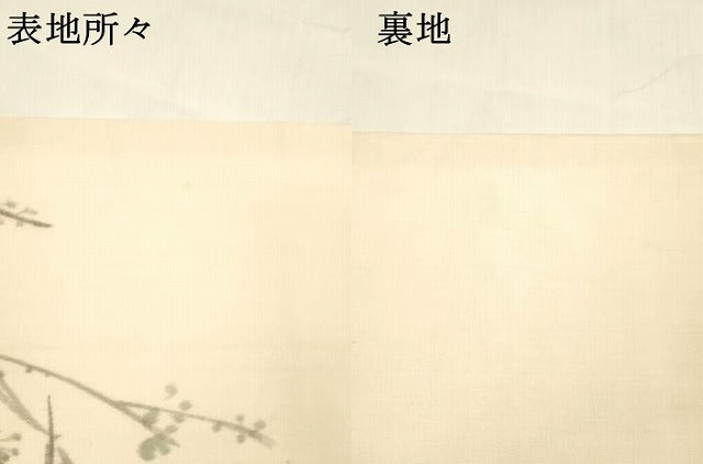 平和屋着物＊夏物 絹芭蕉 九寸名古屋帯 作家物 手描き 燕枝葉文 正絹 逸品 DABA0306cm