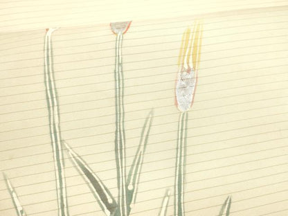 平和屋着物＊夏物 絽塩瀬 九寸開き名古屋帯 手描き 草葉文 銀彩 正絹 逸品 DABA0511cm