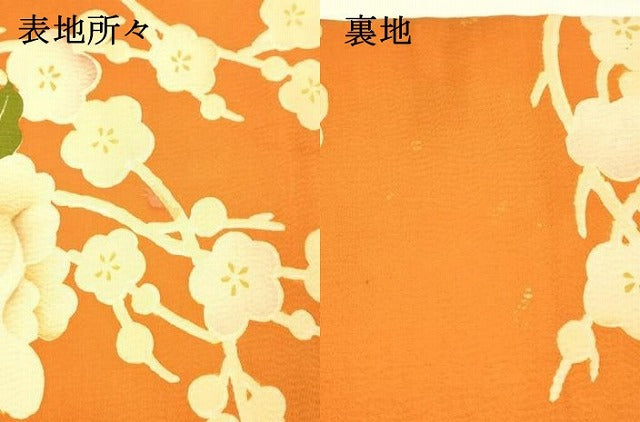 平和屋着物○アンティーク 大正ロマン 全通柄九寸名古屋帯 刺繍 草花