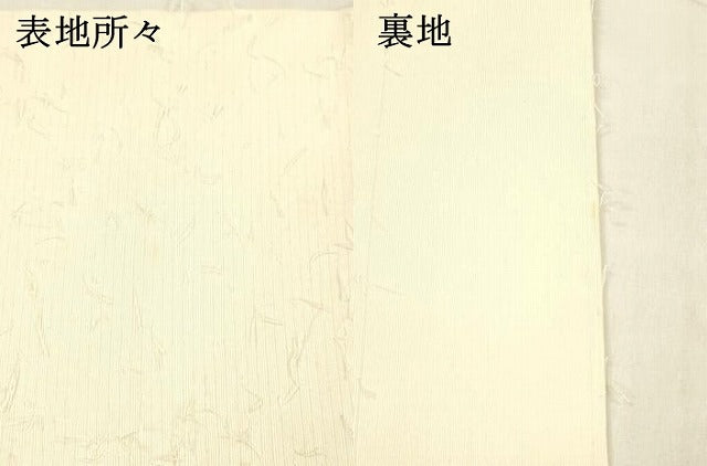 平和屋着物●九寸名古屋帯　髭紬　作家物　手描き　枝花文　正絹　逸品　DABA0614cm