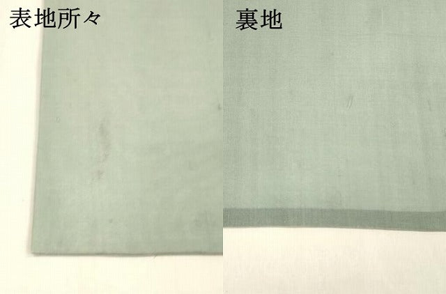 平和屋着物＊夏物 絹芭蕉 太鼓柄袋帯 手描き 枝葉文 金彩 正絹 逸品 DABA0904cm