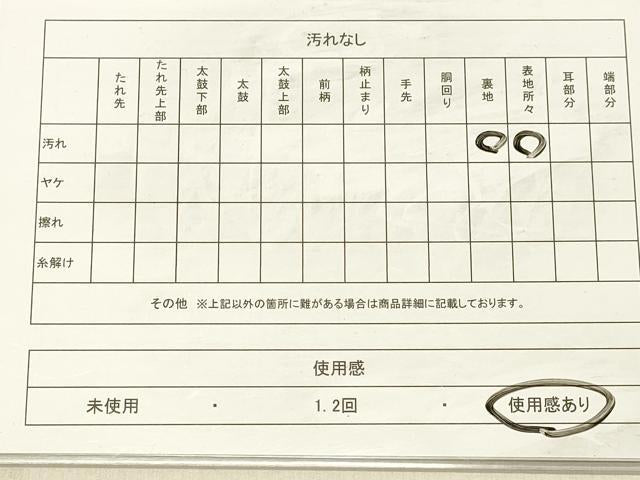 平和屋着物◎六通柄袋帯　唐織　枝花文　銀糸　正絹　逸品　DABA0971cm