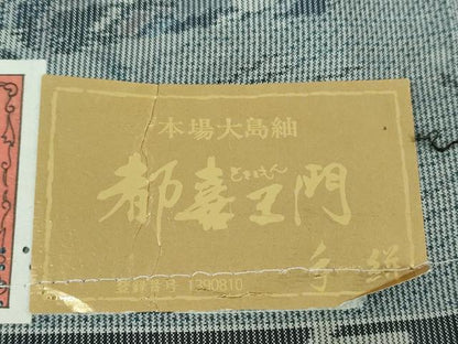 平和屋着物●都喜ヱ門　本場大島紬　7マルキ　総絣　手絣　華韻清旦　藤絹織物謹製　証紙付き　正絹　逸品　DABA1067ps
