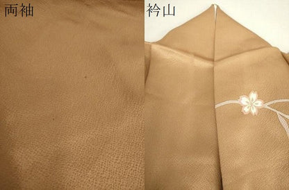 平和屋着物●訪問着　駒刺繍　松皮菱花文　暈し染め　金銀彩　正絹　逸品　DABA1532ps