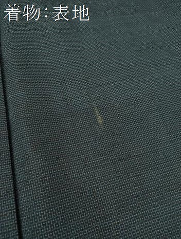 平和屋着物●男性 本場大島紬 アンサンブル 長羽織 100亀甲 総詰め 正絹 逸品 DABA1879ps