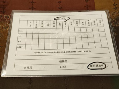 平和屋着物◎全通柄袋帯　横段草花文　金糸　正絹　逸品　DABA2116jm
