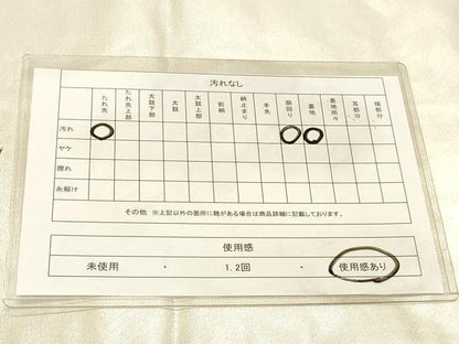 平和屋着物◎太鼓柄袋帯　手描き　枝花文　正絹　逸品　DABA2332ya