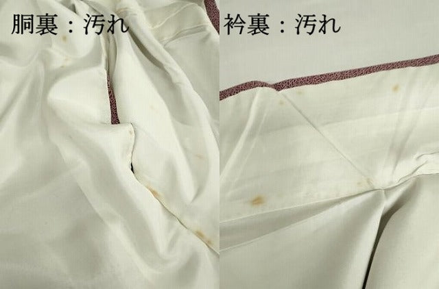 平和屋着物■江戸小紋　家内安全　正絹　逸品　DABA3291qa