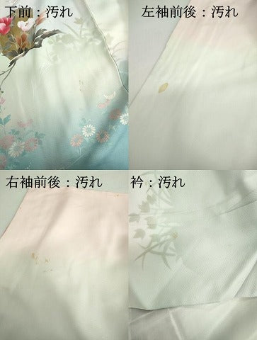 平和屋着物■訪問着　手描き　枝花文　暈し染め　金彩　正絹　逸品　DABA3321qa