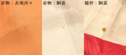 平和屋着物∵女の子　十三参り　子供　祝着・長襦袢(袷・半衿刺繍)セット　枝菊　銀彩　逸品　DABA3568ma