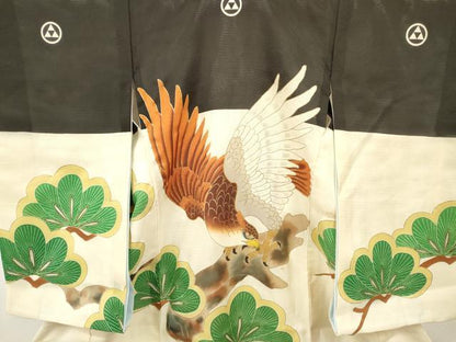平和屋着物＊夏物 お宮参り 男の子 祝着 産着 初着 のしめ 絽 駒刺繍 鷹 鷲 松文 金彩 逸品 DABA3720ma