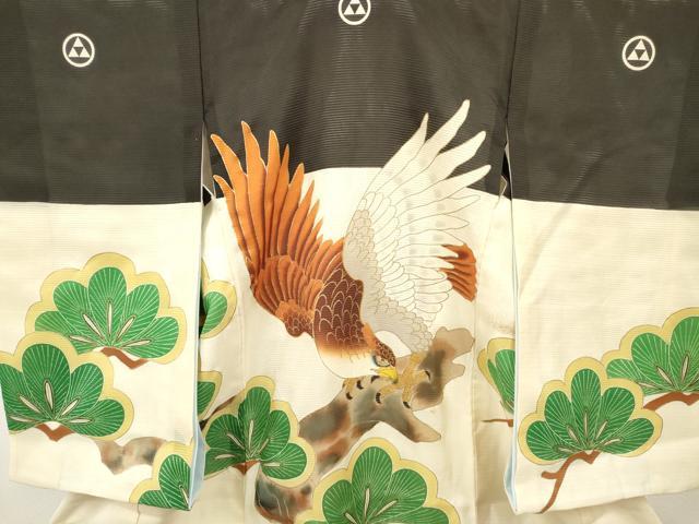 平和屋着物＊夏物 お宮参り 男の子 祝着 産着 初着 のしめ 絽 駒刺繍 鷹 鷲 松文 金彩 逸品 DABA3720ma